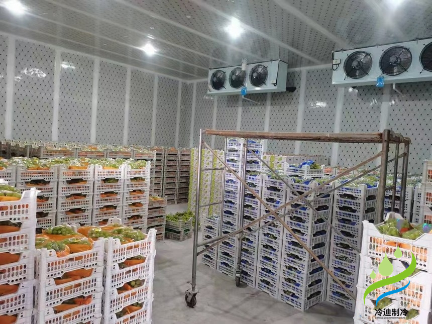 建造氣調(diào)冷庫(kù)多大一間比較合適？